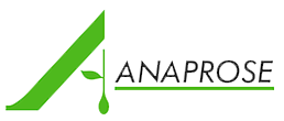 ANAPROSE